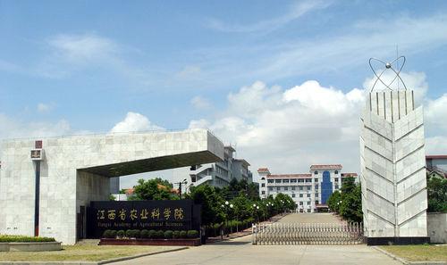 江西省農業科學院