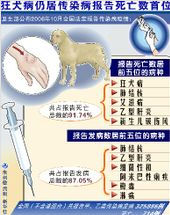 狂犬病病毒