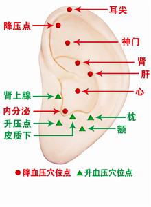 降壓健心儀