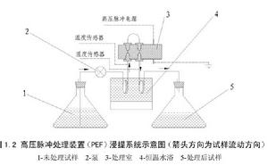 高電壓脈衝電場浸提技術