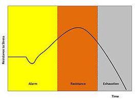 壓力適應的三個階段