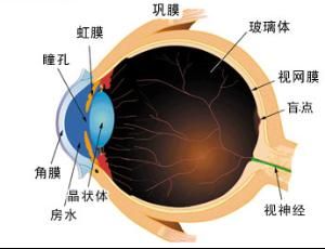 眼內壓