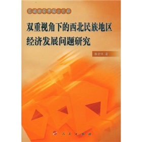 雙重視角下的西北民族地區經濟發展問題研究