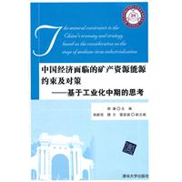 中國經濟面臨的礦產資源能源約束及對策