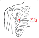 天池穴