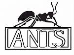 （圖）ANTS