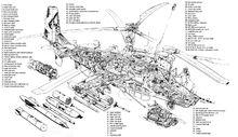 卡-50武裝直升機剖視圖