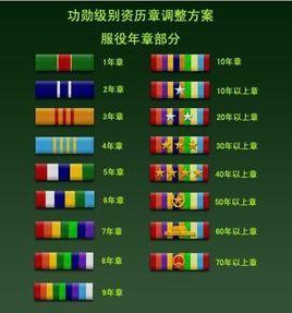 解放軍級別資歷章 解放軍級別資歷章