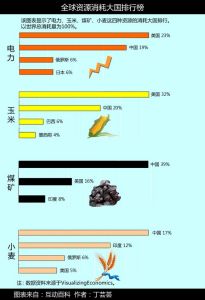 全球資源消耗大國排行（電力、玉米、煤礦、小麥）