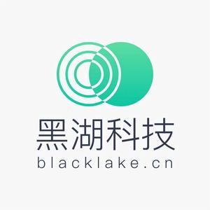 上海黑湖網路科技有限公司