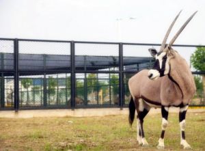 運河灣森林動物園