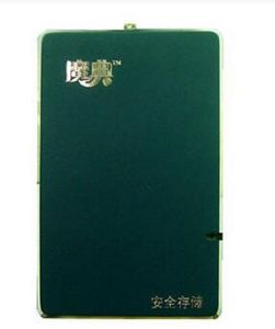 魔典 移動硬碟 A1800（40GB)