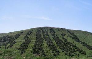 郁山國家森林公園