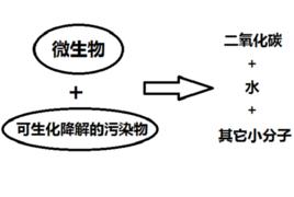 可生化降解的污染物