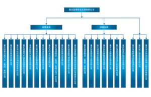 重慶國泰公司組織架構