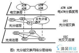 分組交換網路