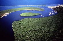 大西洋沿岸熱帶雨林保護區