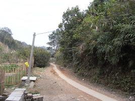 獨堆村[廣西貴港市羅秀鎮下轄村]