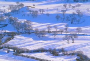 塞下雪