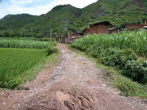 羅所地村-進村道路