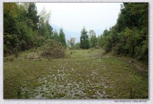 爐慶庵遺址