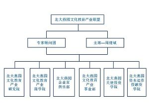 聯盟組織架構圖