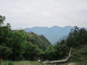 半坑村[福安市范坑鄉半坑村]