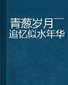 青蔥歲月——追憶似水年華