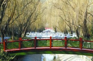 菖蒲河公園冬景