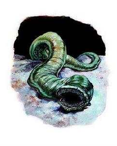 巨噬蠕蟲