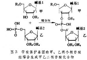 核酸的人工合成