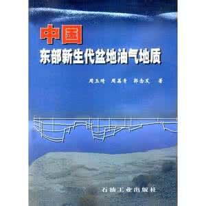 中國東部新生代盆地油氣地質