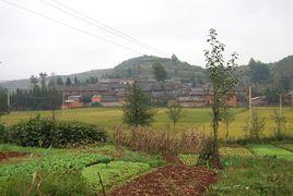 土橋村[廣東省東莞市清溪鎮土橋村]