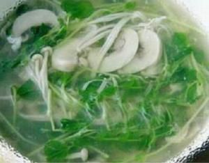 豆苗瘦肉蘑菇湯