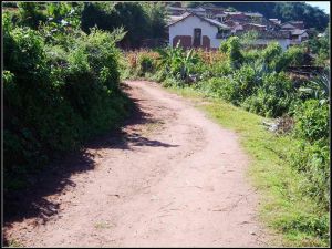 進村道路