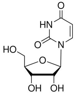 尿嘧啶核苷