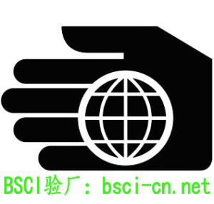 BSCI驗廠報告查詢