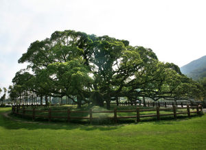 福州國家森林公園