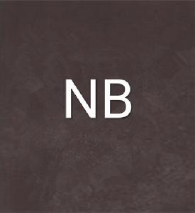 NB[網遊小說：NB]