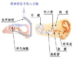 神經性耳鳴