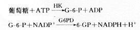 己糖激酶法