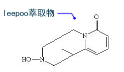 效果圖