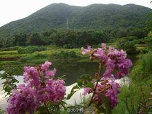 雲台雲台寺原址