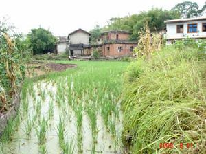 大壩鄉