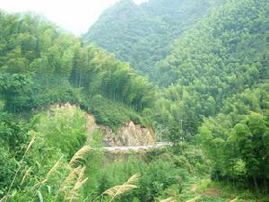 錢江源國家森林公園