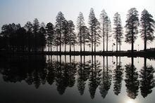 東湖聽濤風景區