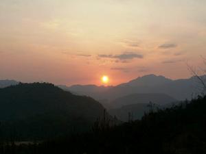 雲頂茶園度假村