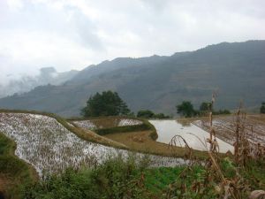 大田邊村