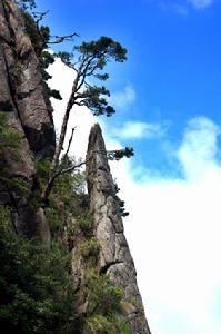 上饒五府山國家級森林公園