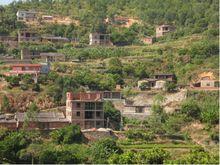 三村村[福建洛江區羅溪鎮下轄村]